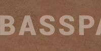 Плитка напольная Exagres ESSENZA 588 Rust  330х665, R11/С